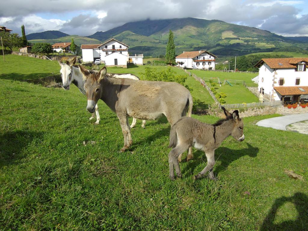 Casa Rural Petisansenea II Zuaztoy de Azpilcueta Exteriér fotografie