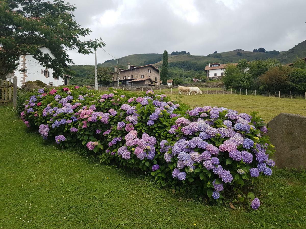 Casa Rural Petisansenea II Zuaztoy de Azpilcueta Exteriér fotografie